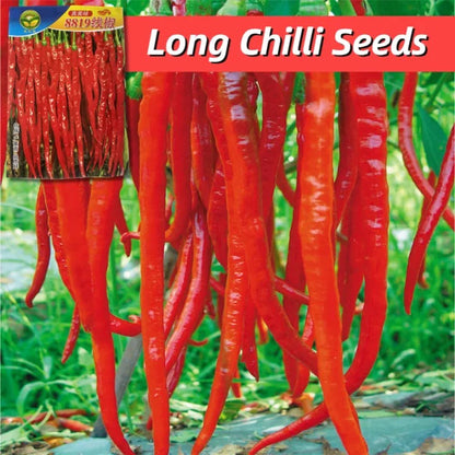 Hybrid Long Hot Chili Seed Bag — Garden Planting Seeds