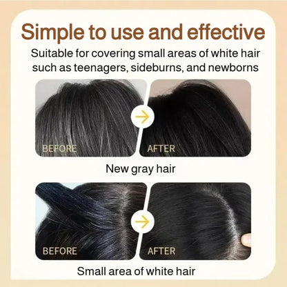 Hair Dye Comb — Easy Grey Hair Coverage - Manufactured in Japan