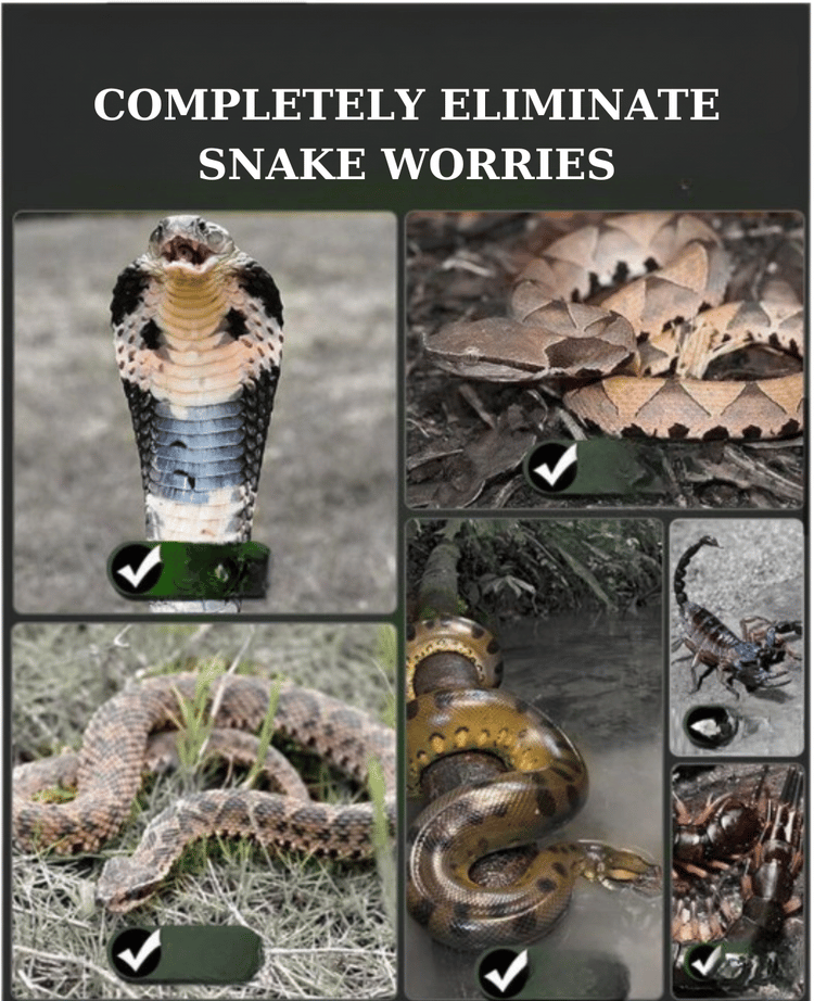 Herbal Powder for Snake Prevention