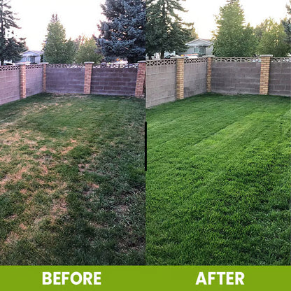Soil Pro Activator – Rebuild Soil Health & Boost Plant Growth