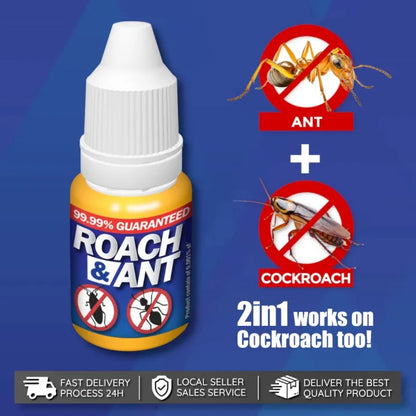 Roach & Ant Bait – Effective Control for Cockroaches and Ants