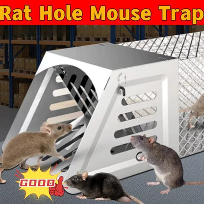 Rat Hole Mouse Trap – Easy & Effective Rodent Control Solution