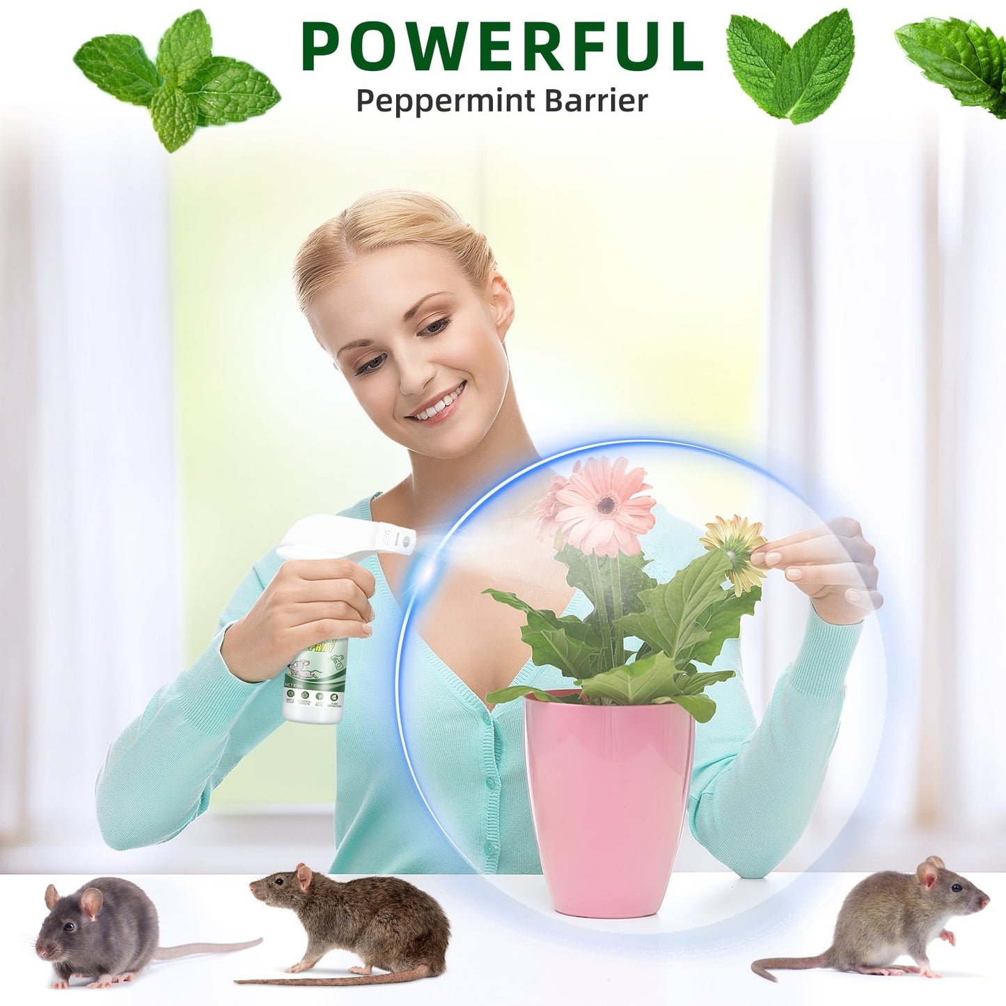 Peppermint Oil Rodent Repellent Spray
