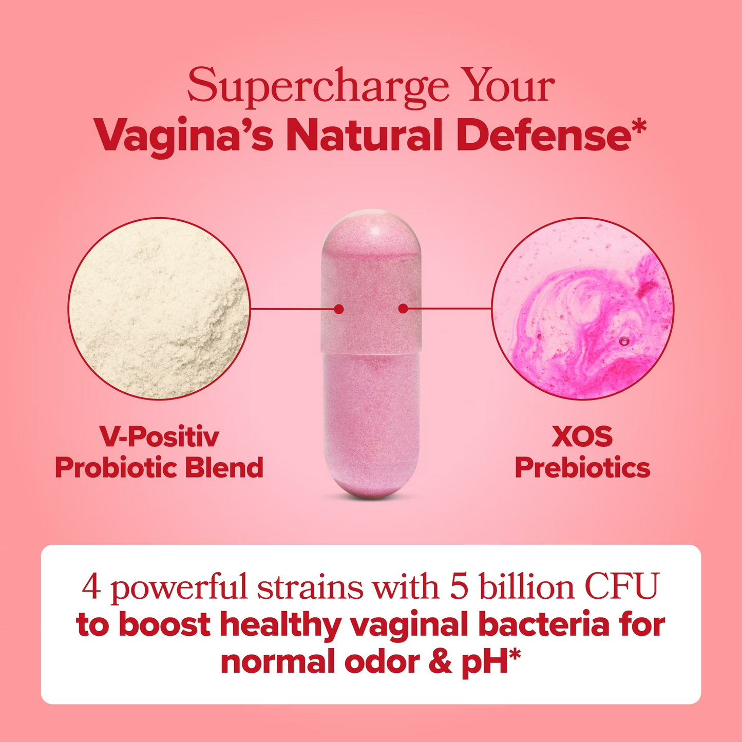 Women's Probiotic Capsules – Daily Wellness Dietary Supplement