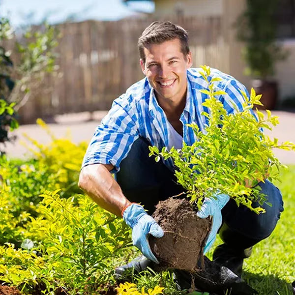 Soil Pro Activator – Rebuild Soil Health & Boost Plant Growth