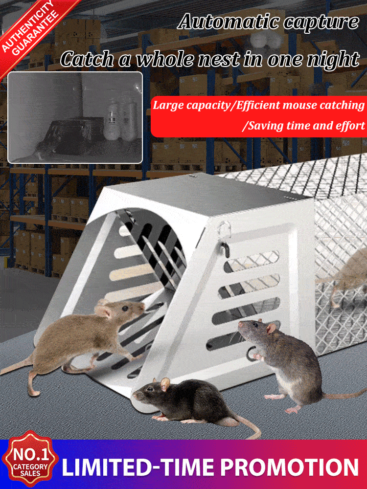 [Kill one nest in one night] Rat hole mouse trap