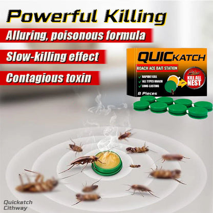 Cithway® Quickatch Roach Ace No-Mess Bait