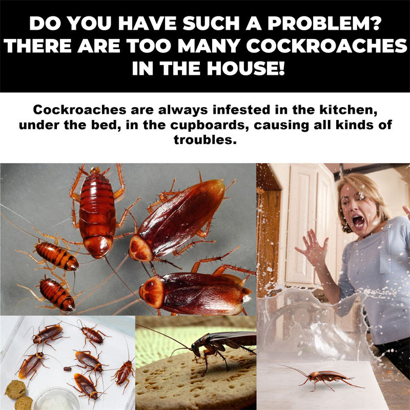 Roach Bait Station – Effective Cockroach Repellent & Nest Killer