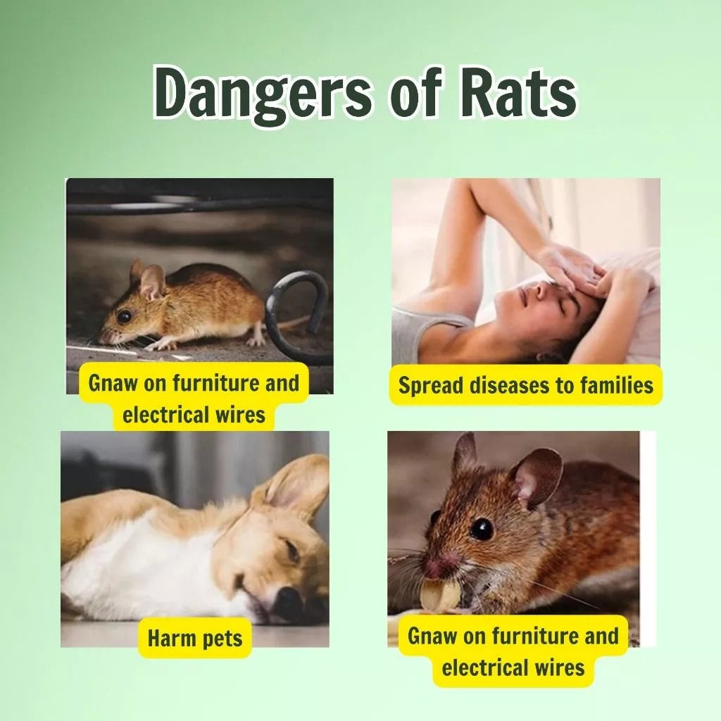 Natural Bintaro Rat Control Solution – Fast-Acting Bio Formula for Large Rodents