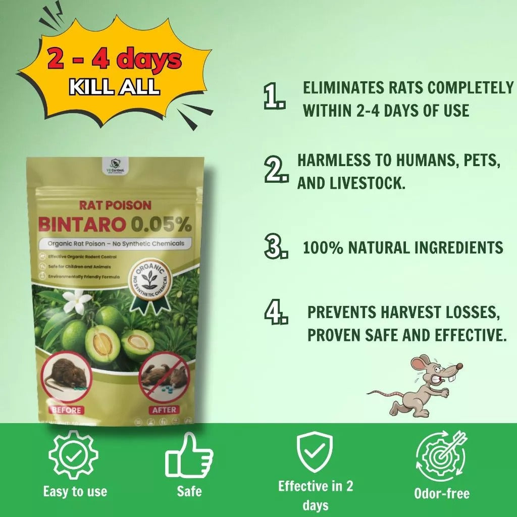 Natural Bintaro Rat Control Solution – Fast-Acting Bio Formula for Large Rodents
