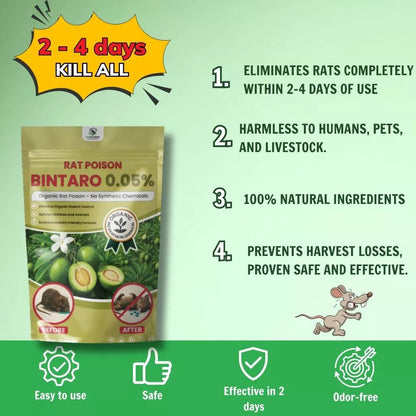 Natural Bintaro Rat Control Solution – Fast-Acting Bio Formula for Large Rodents