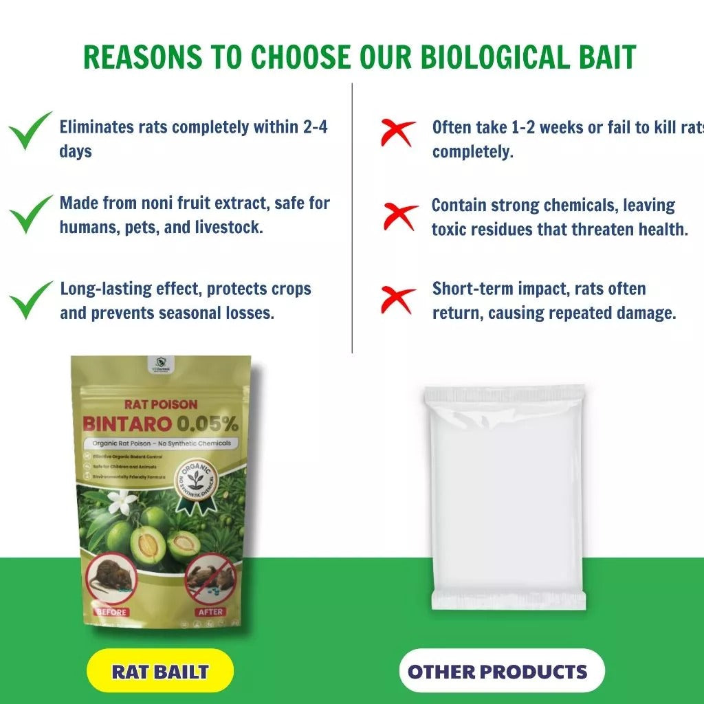 Natural Bintaro Rat Control Solution – Fast-Acting Bio Formula for Large Rodents