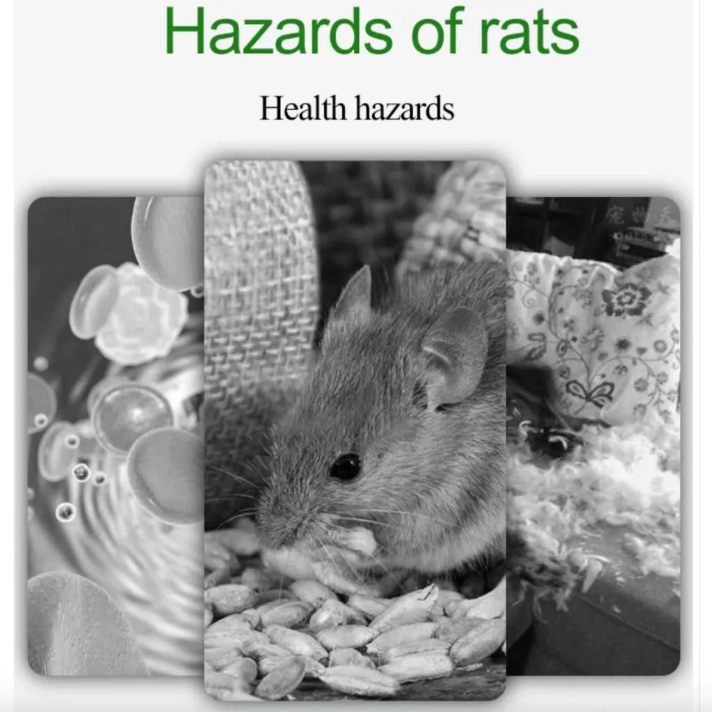 Natural Bintaro Rat Control Solution – Fast-Acting Bio Formula for Large Rodents