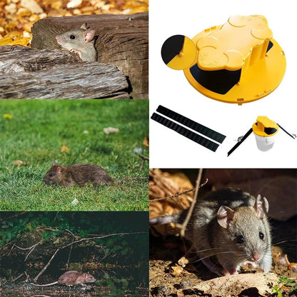 Bucket Lid Rat Trap Reusable Humane Rodent Catcher for Home