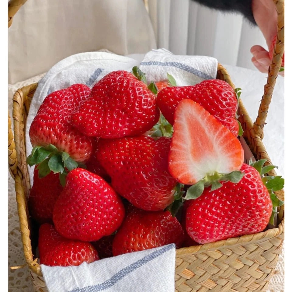 Tresca Strawberry Seeds