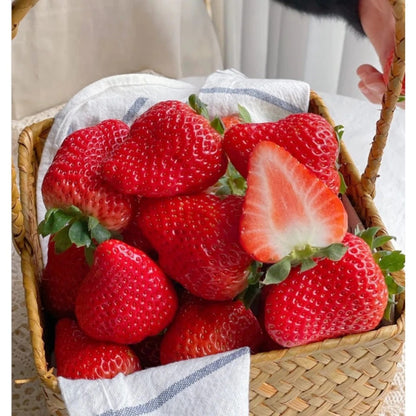 Tresca Strawberry Seeds