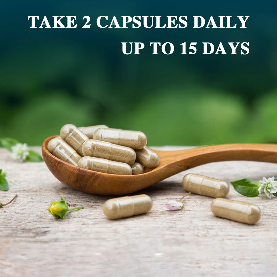 15 Day Cleanse Program – Light & Balanced Daily Wellness Support
