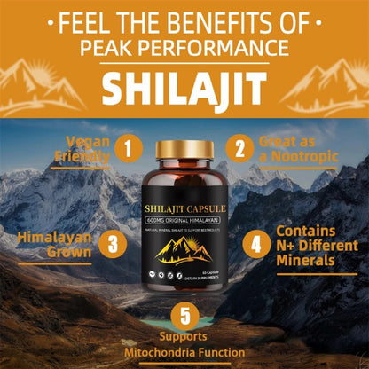 Shilajit 60 Capsules – 500mg Each 60-Day Energy, Stamina
