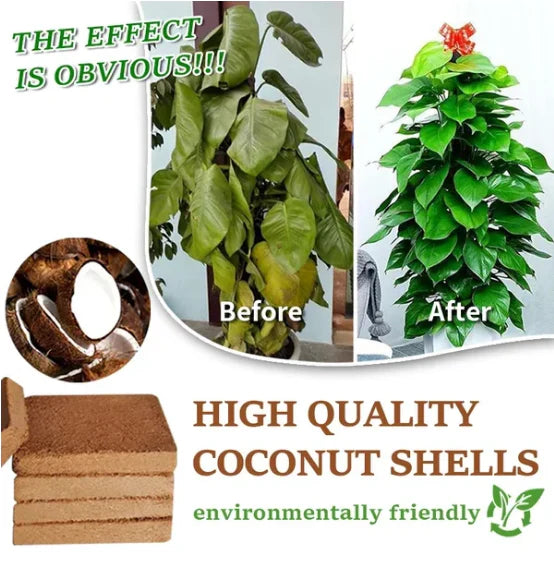 Organic Coconut Coir for Plants: