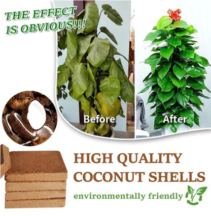 Organic Coconut Coir for Plants: