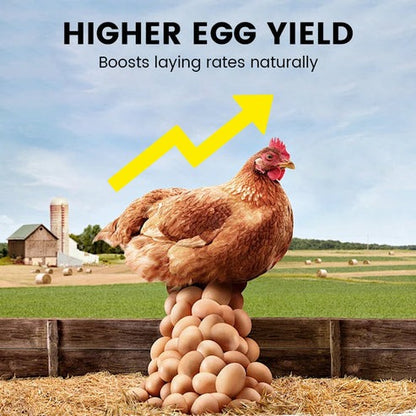Poultry Vitamin AD3E Powder – Boost Egg Production
