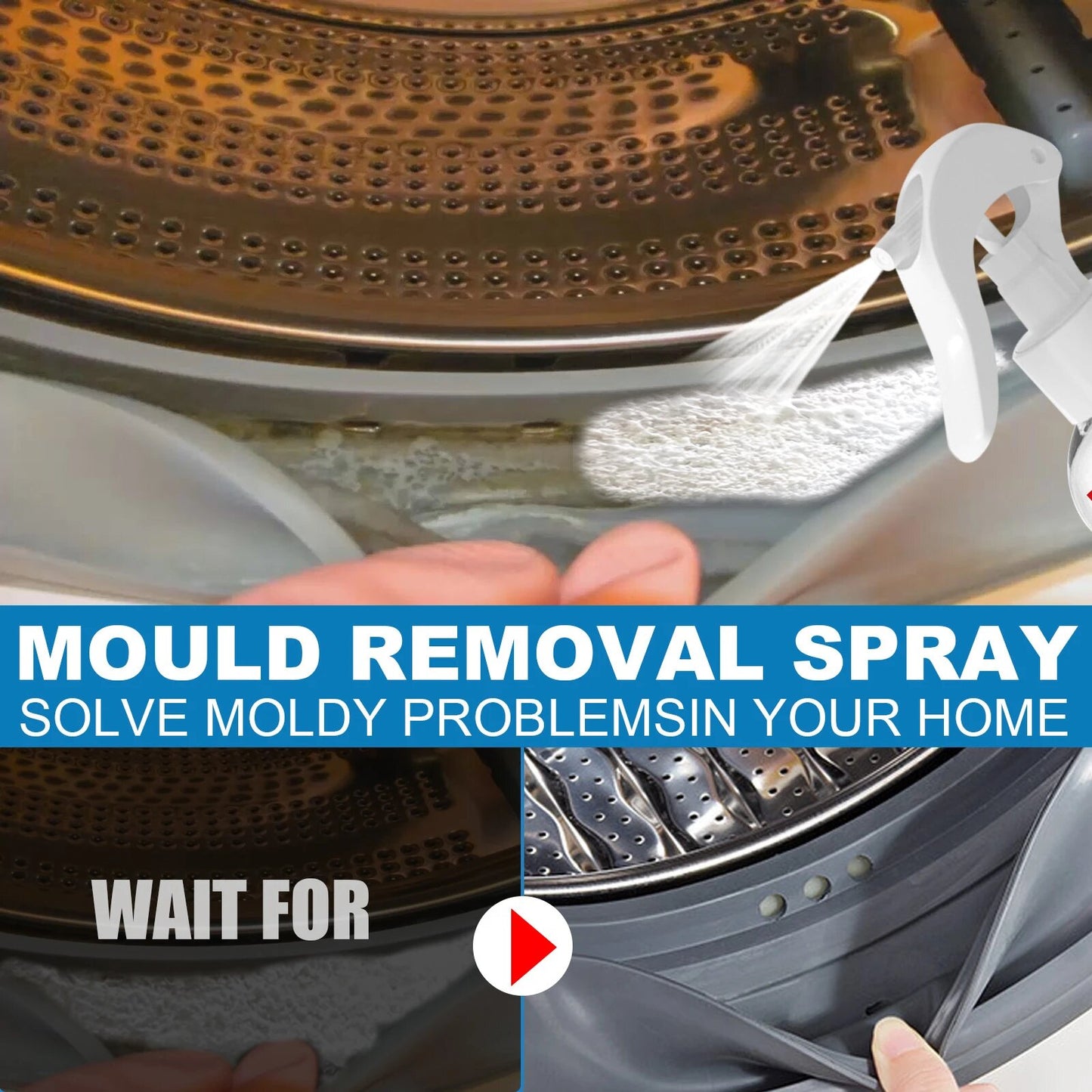 Instant Mould Remover