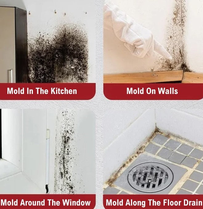 Instant Mould Remover